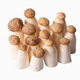 Illustration for article titled For Your Consideration: The Royal Trumpet Mushroom em/em